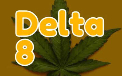 What Is Delta 8 THC?