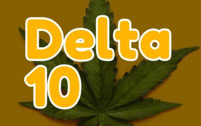 What Is Delta 10 THC?