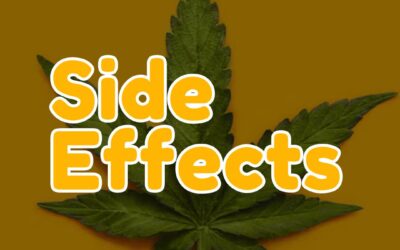 Side effects of using Eddies products