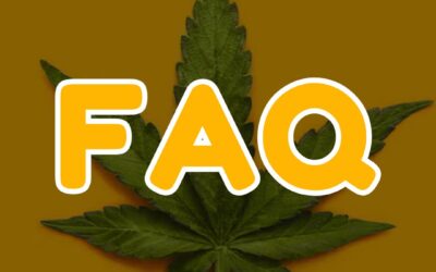 Frequently Asked Questions